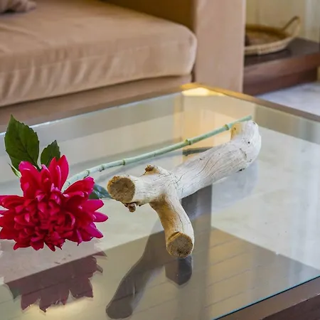 Villa Bonaire Sky / Carmen *